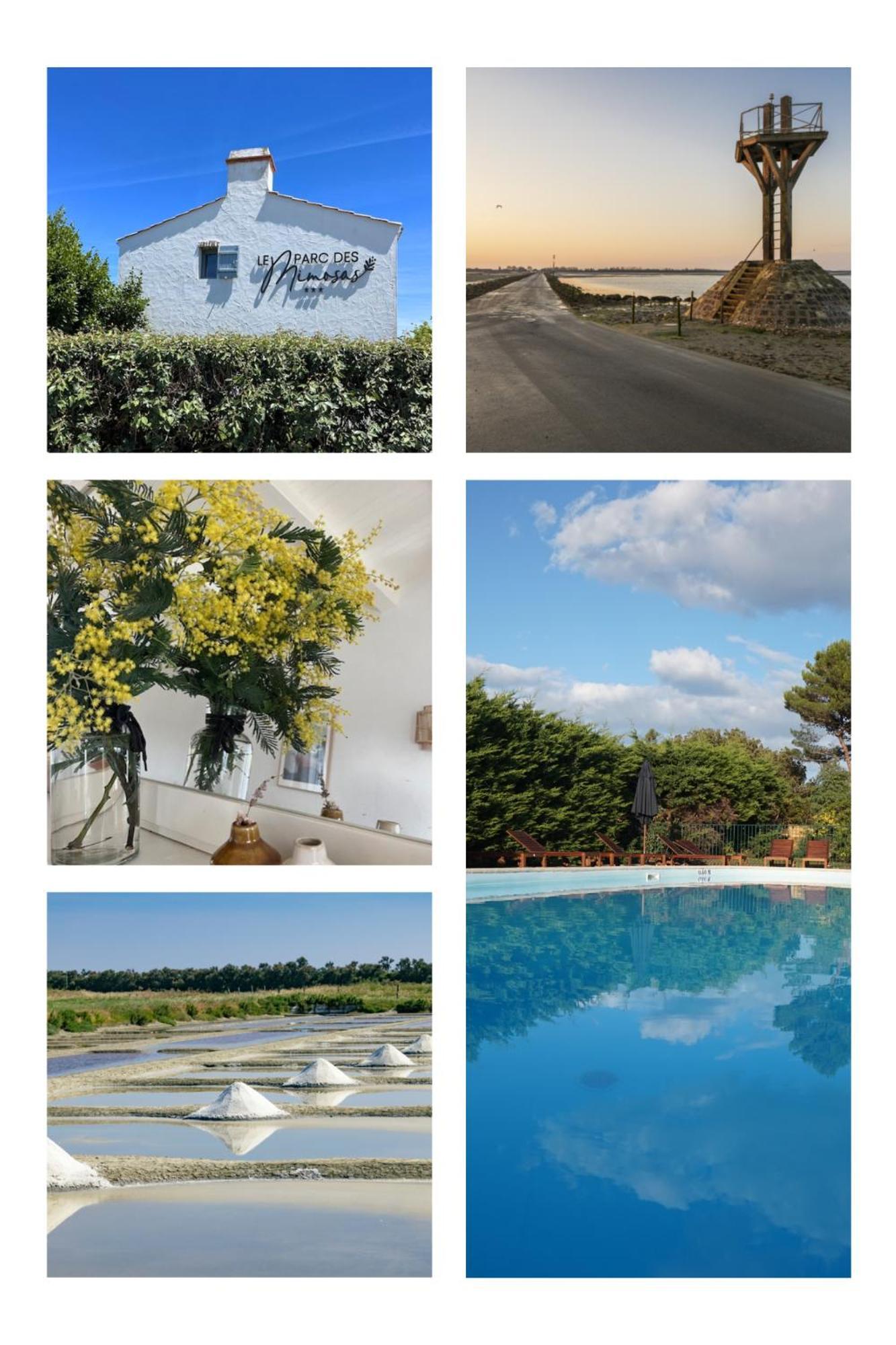 누아르무티에 앙 릴 Le Parc Des Mimosas 빌라 외부 사진